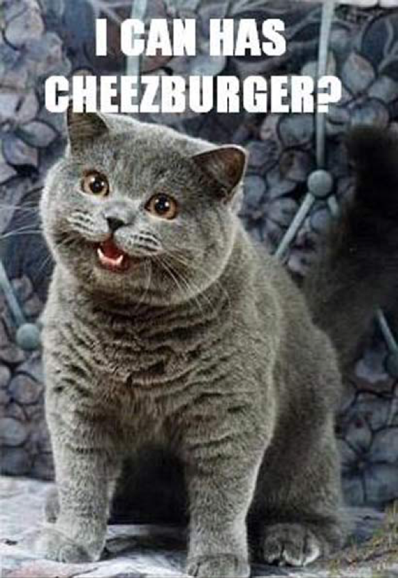 "I can has cheezburger?" cat meme