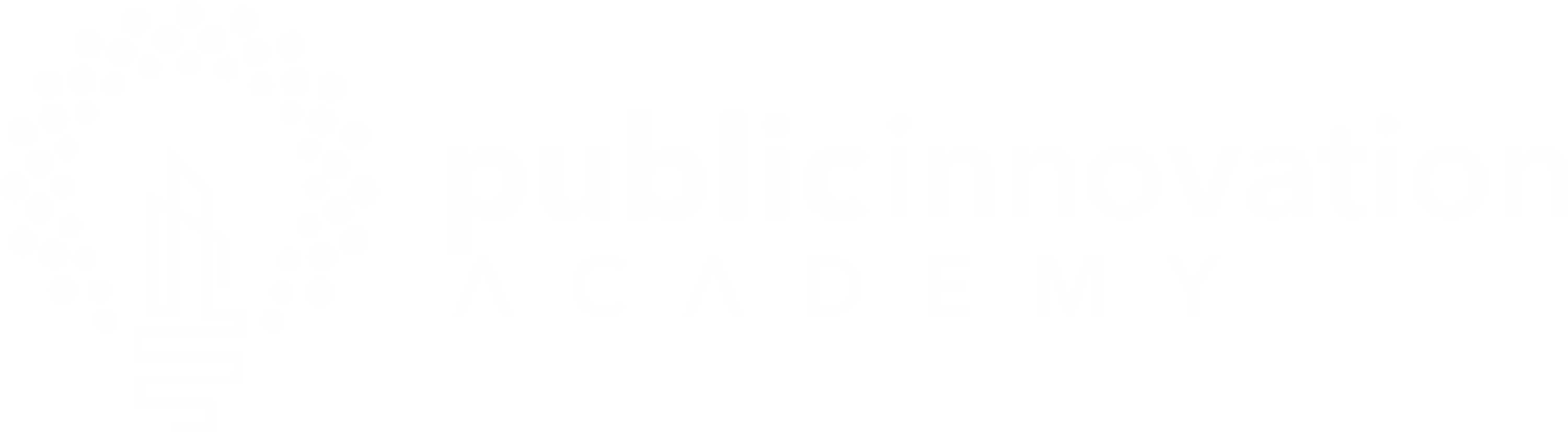 Public Innovation Academy